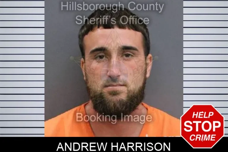 Andrew Harrison