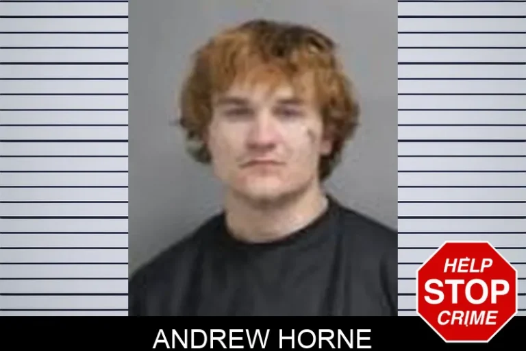 Andrew Horne