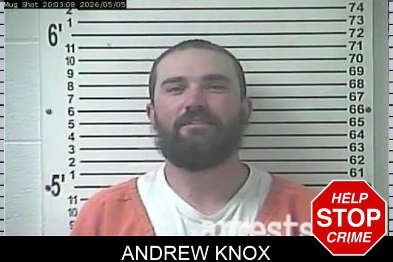 Andrew Knox