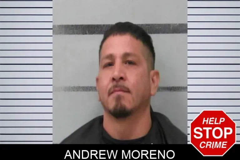 Andrew Moreno