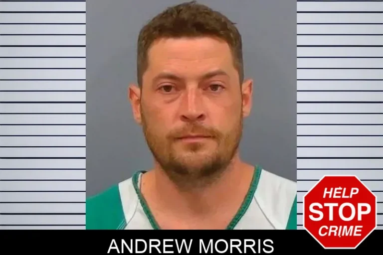 Andrew Morris