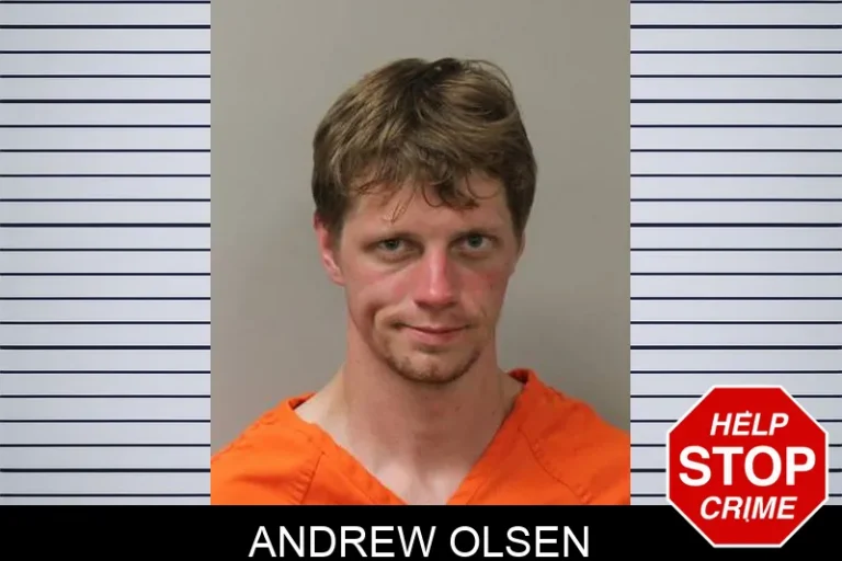 Andrew Olsen