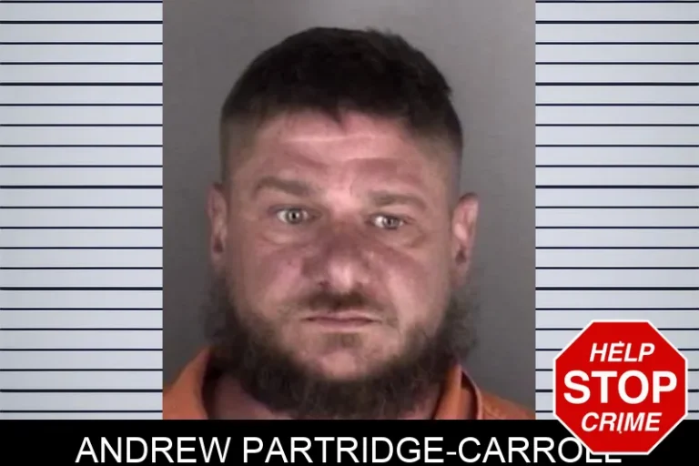 Andrew Partridge-Carroll
