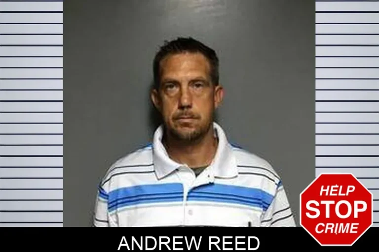 Andrew Reed