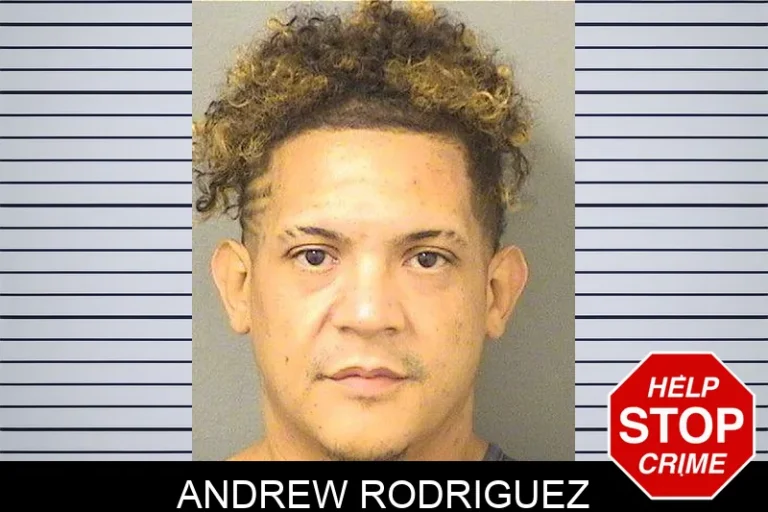 Andrew Rodriguez