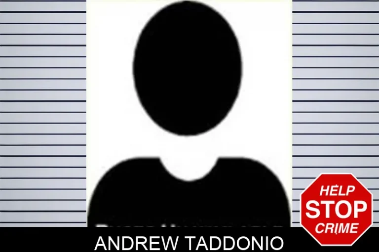 Andrew Taddonio