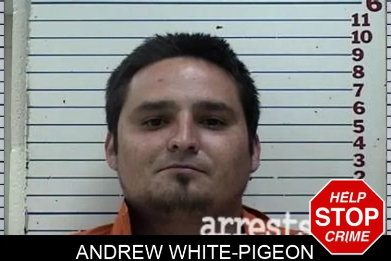 Andrew White-Pigeon