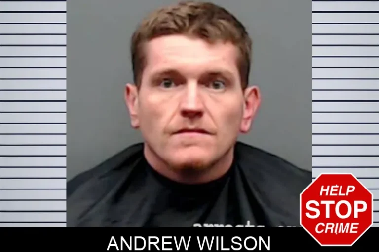 Andrew Wilson