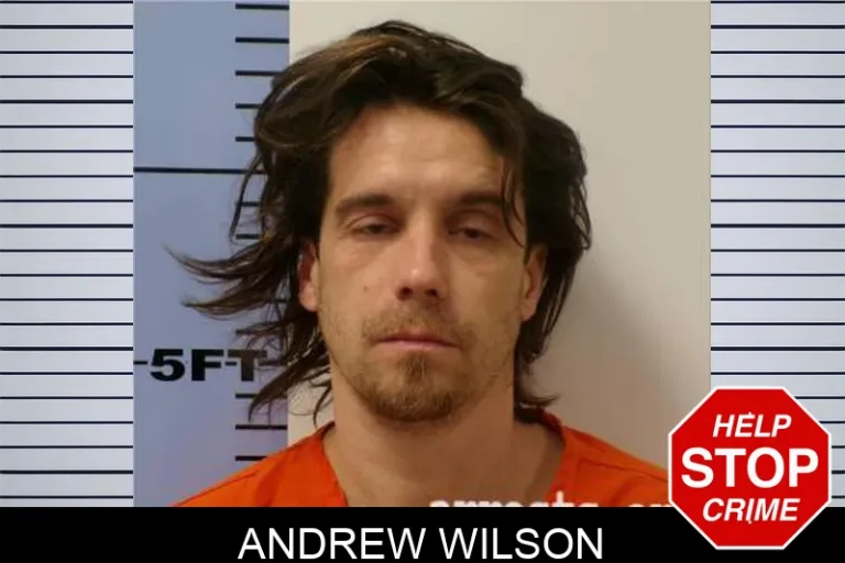 Andrew Wilson