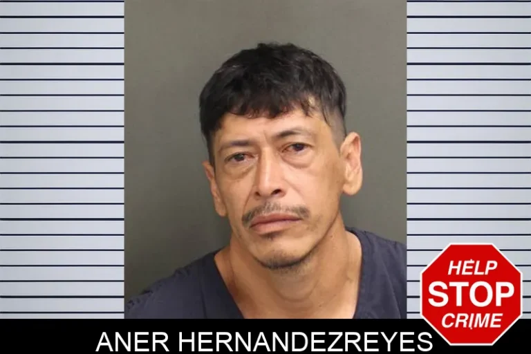 Aner Hernandezreyes