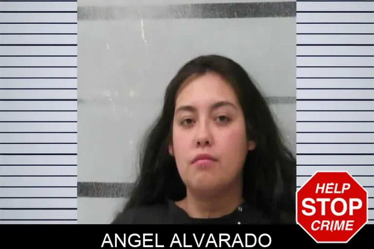 Angel Alvarado