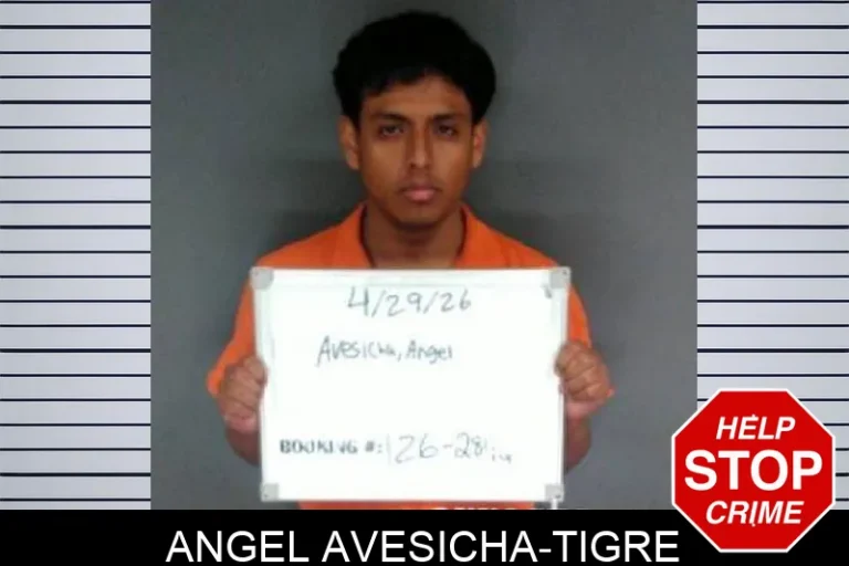 Angel Avesicha-Tigre