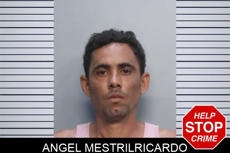 Angel Mestrilricardo