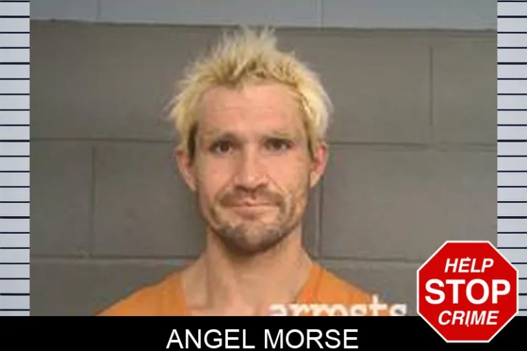 Angel Morse