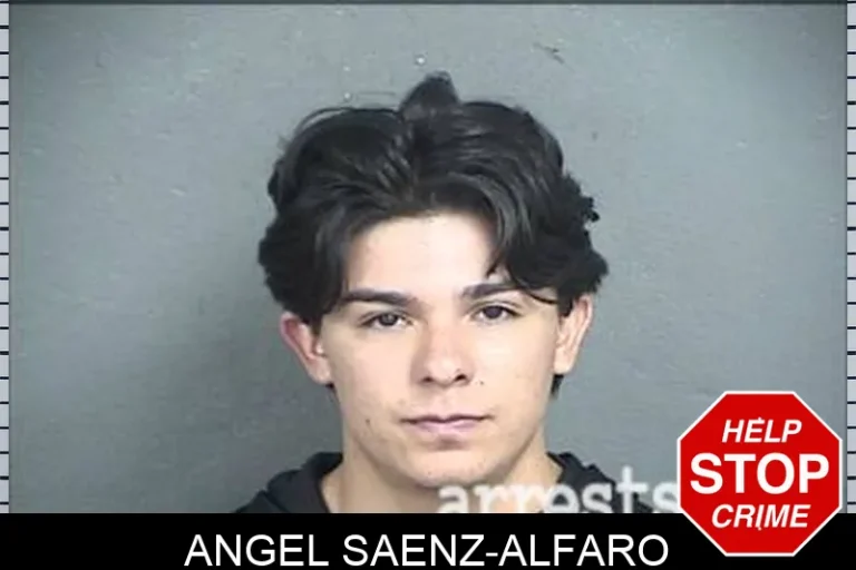 Angel Saenz-Alfaro