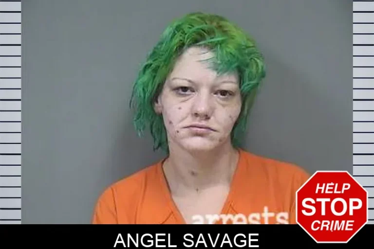 Angel Savage