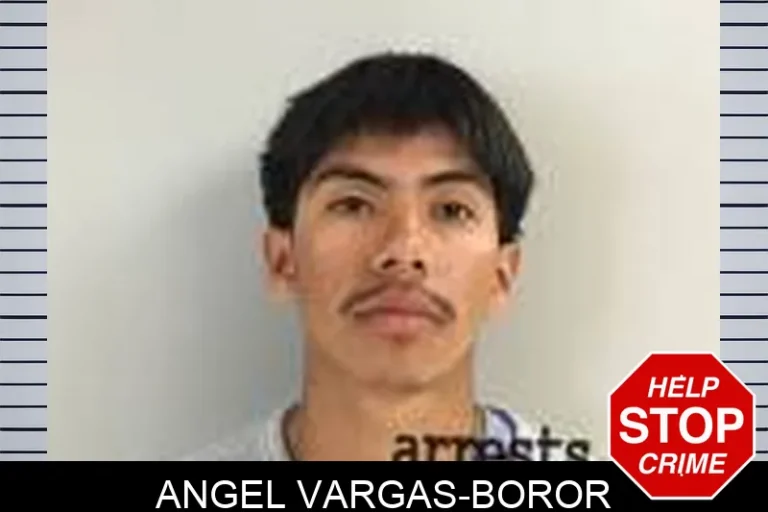 Angel Vargas-Boror