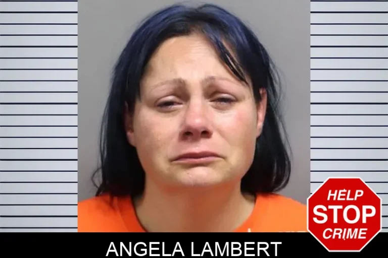 Angela Lambert