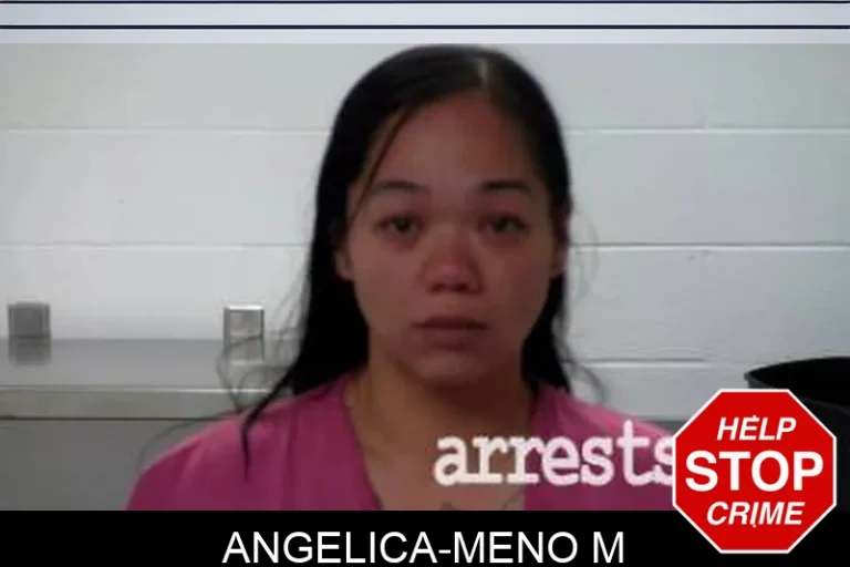 Angelica-Meno M