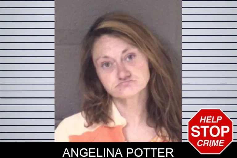 Angelina Potter