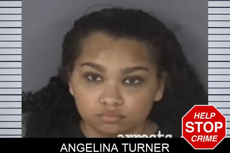 Angelina Turner