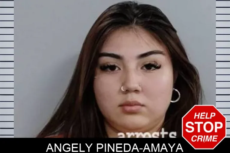 Angely Pineda-Amaya