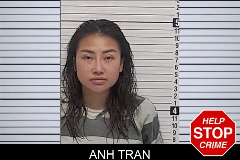 Anh Tran