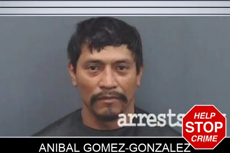 Anibal Gomez-Gonzalez