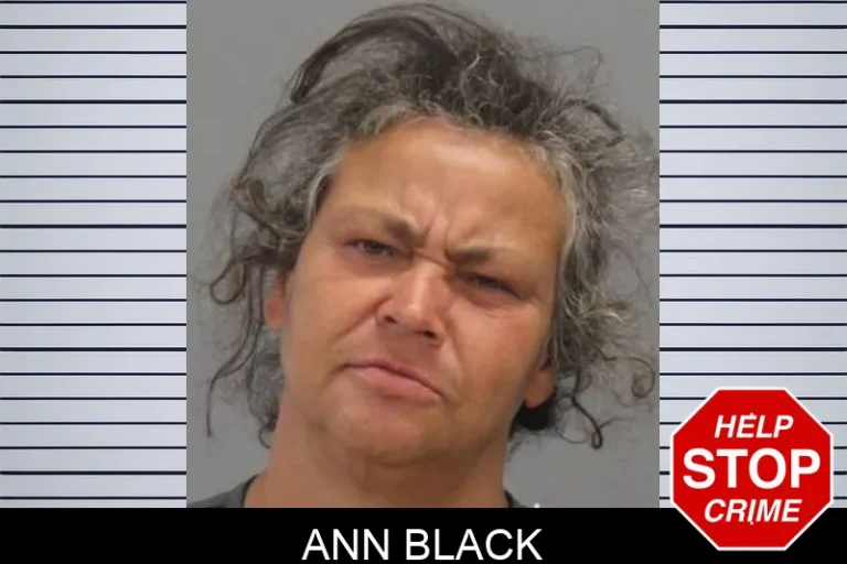 Ann Black