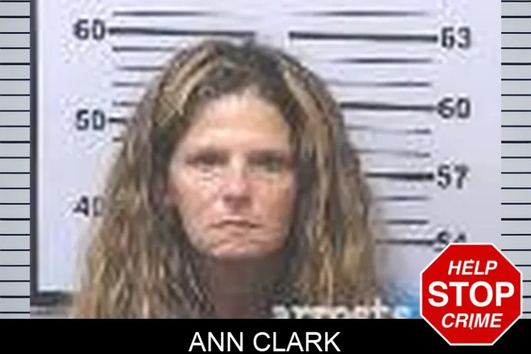 Ann Clark