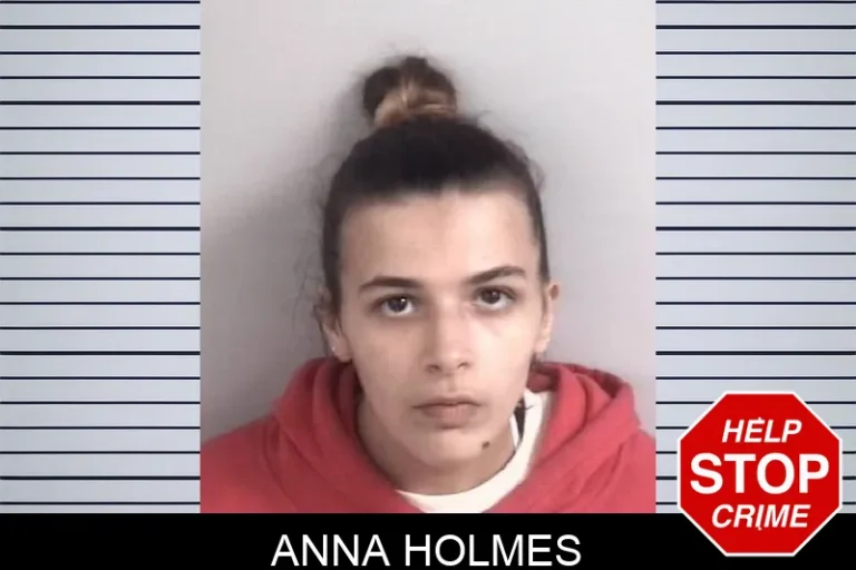 Anna Holmes