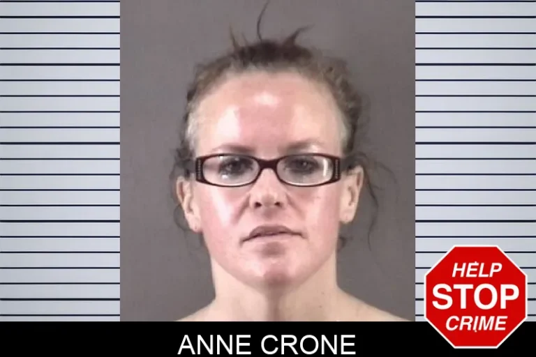 Anne Crone