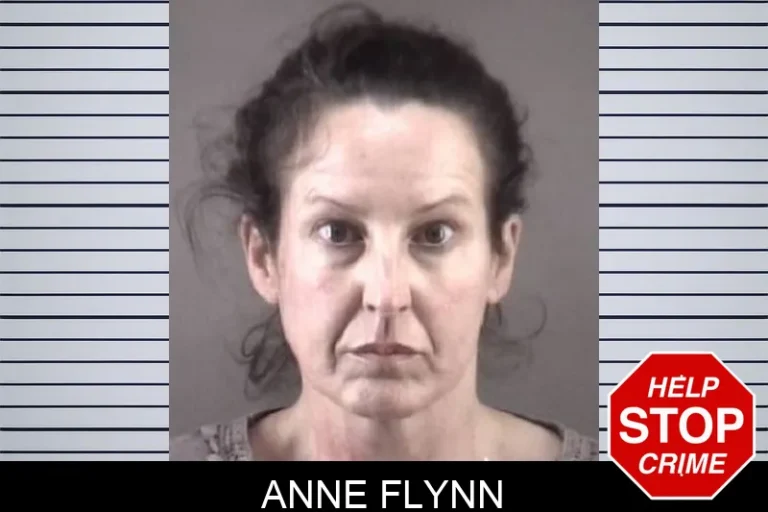 Anne Flynn