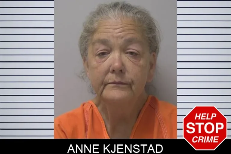 Anne Kjenstad