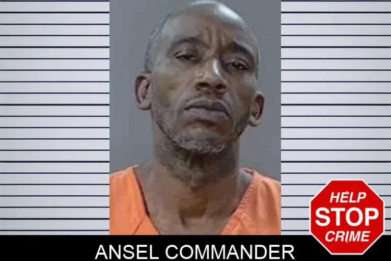 Ansel Commander