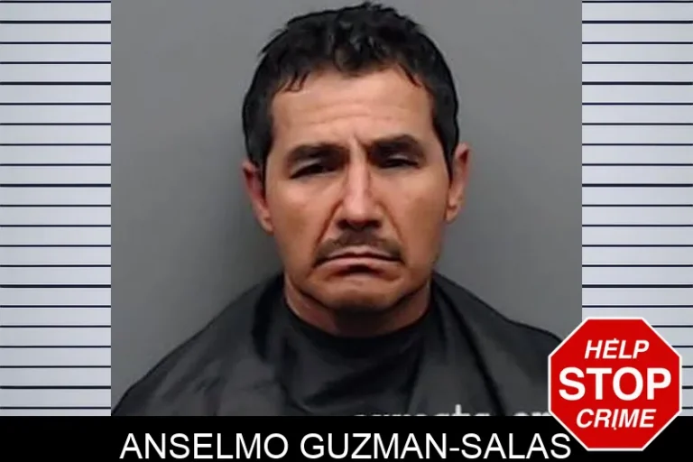 Anselmo Guzman-Salas