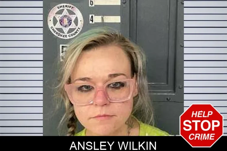 Ansley Wilkin