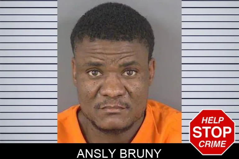 Ansly Bruny