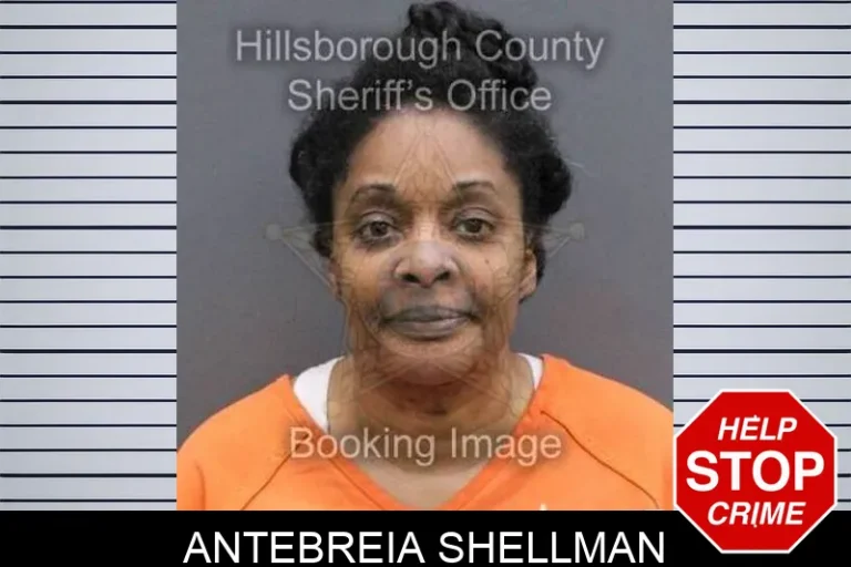 Antebreia Shellman