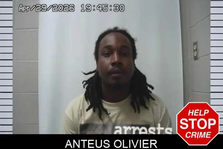 Anteus Olivier