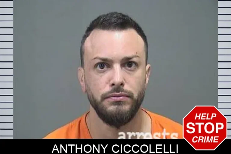 Anthony Ciccolelli