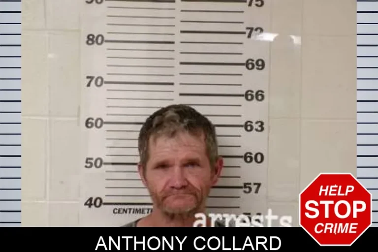 Anthony Collard