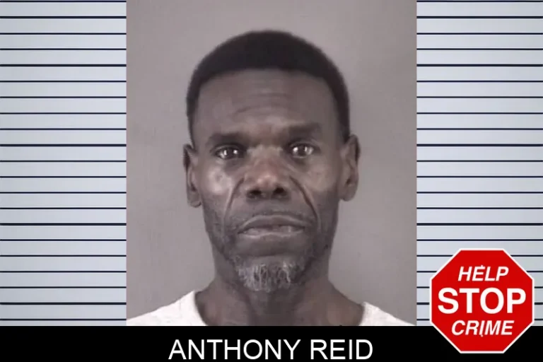Anthony Reid