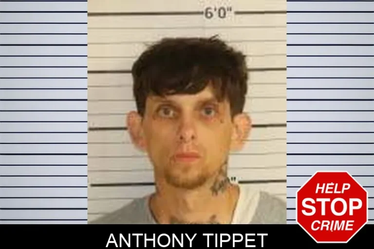 Anthony Tippet