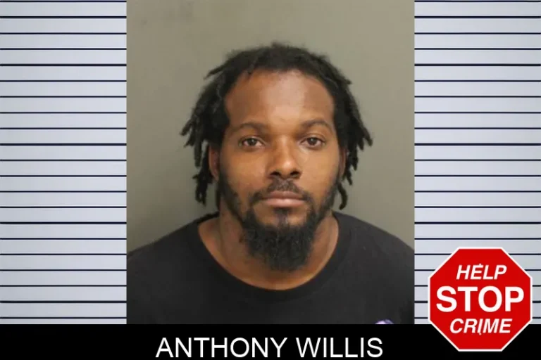 Anthony Willis