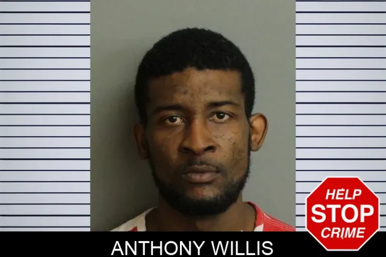 Anthony Willis