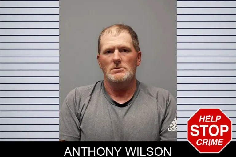 Anthony Wilson