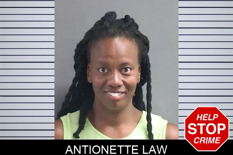 Antionette Law