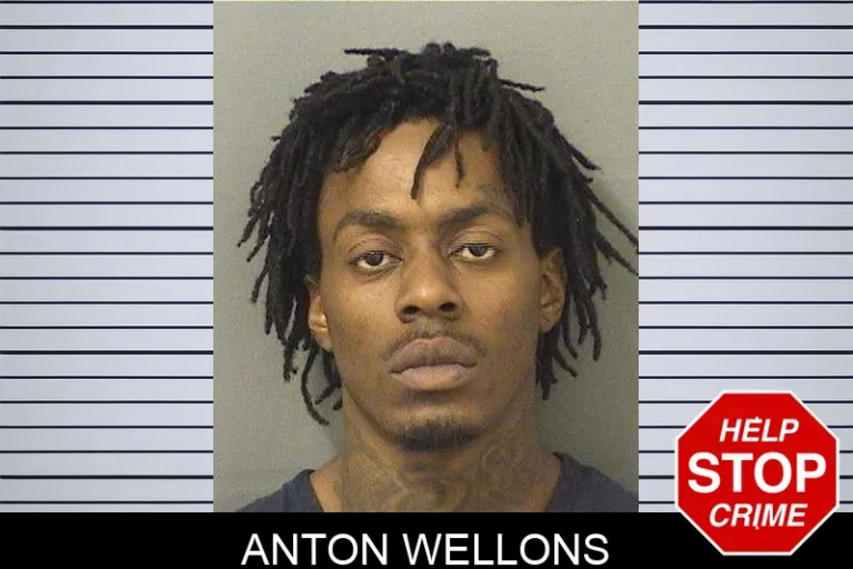 Anton Wellons