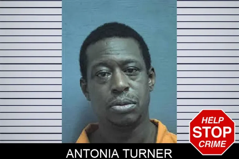 Antonia Turner